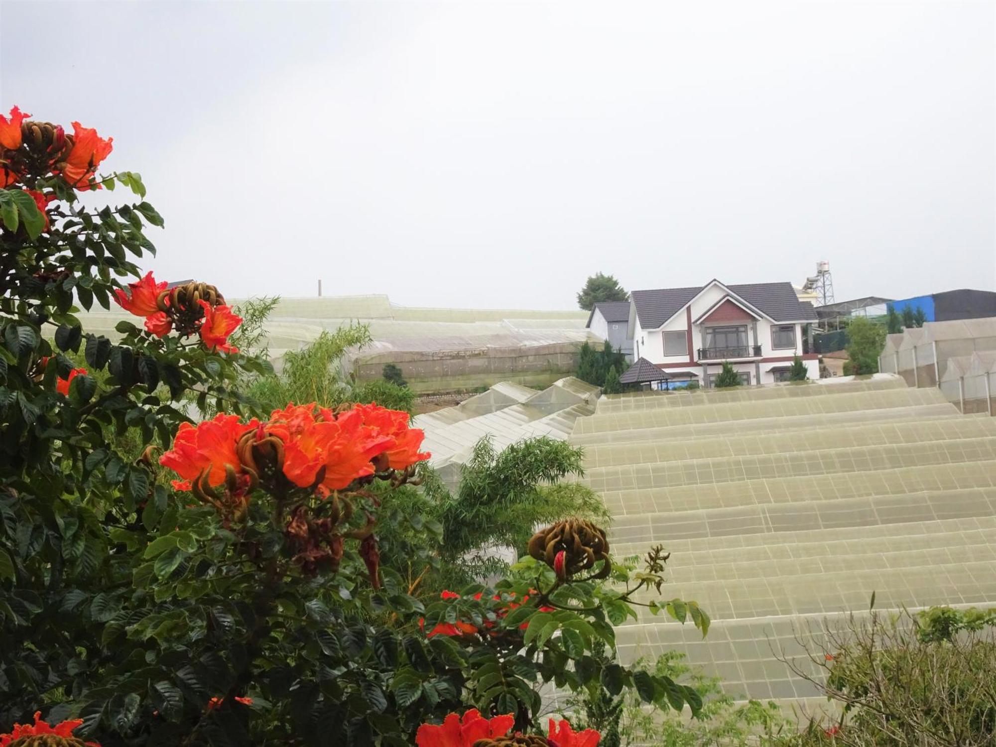 Mento Villa Dalat Exteriör bild