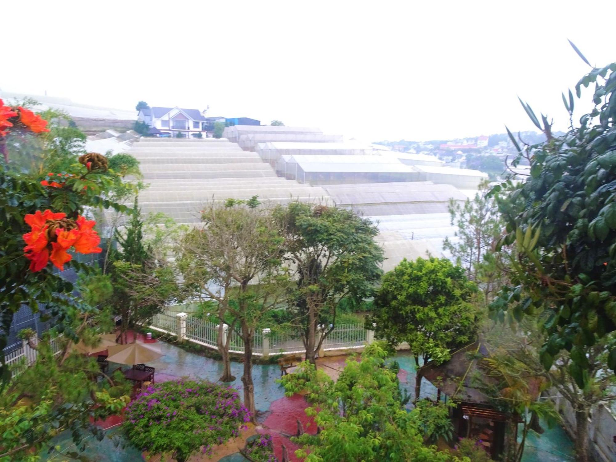 Mento Villa Dalat Exteriör bild