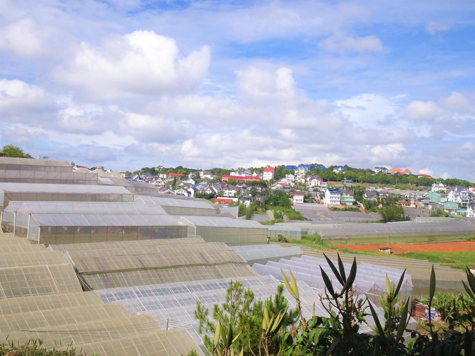 Mento Villa Dalat Exteriör bild