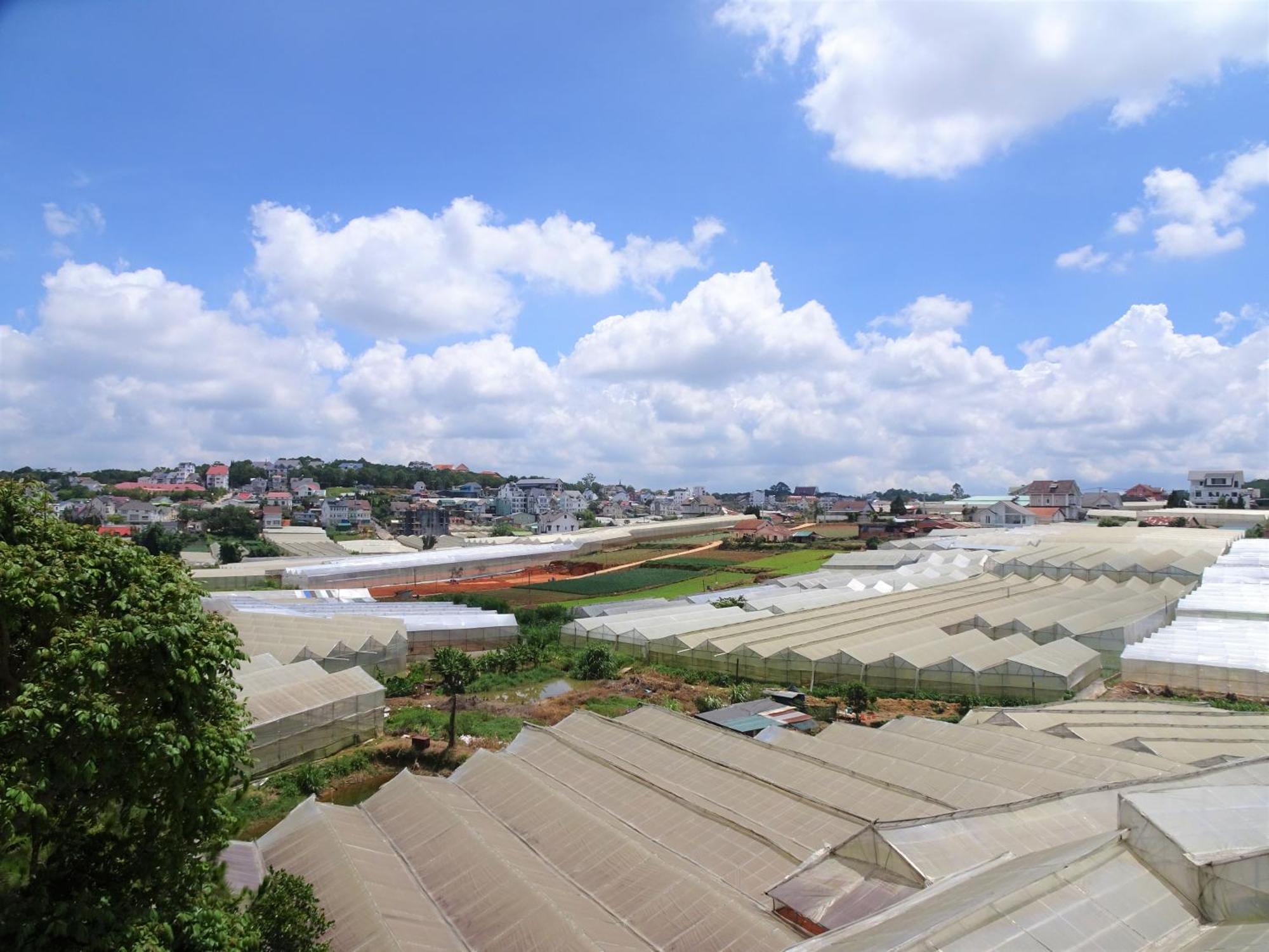 Mento Villa Dalat Exteriör bild