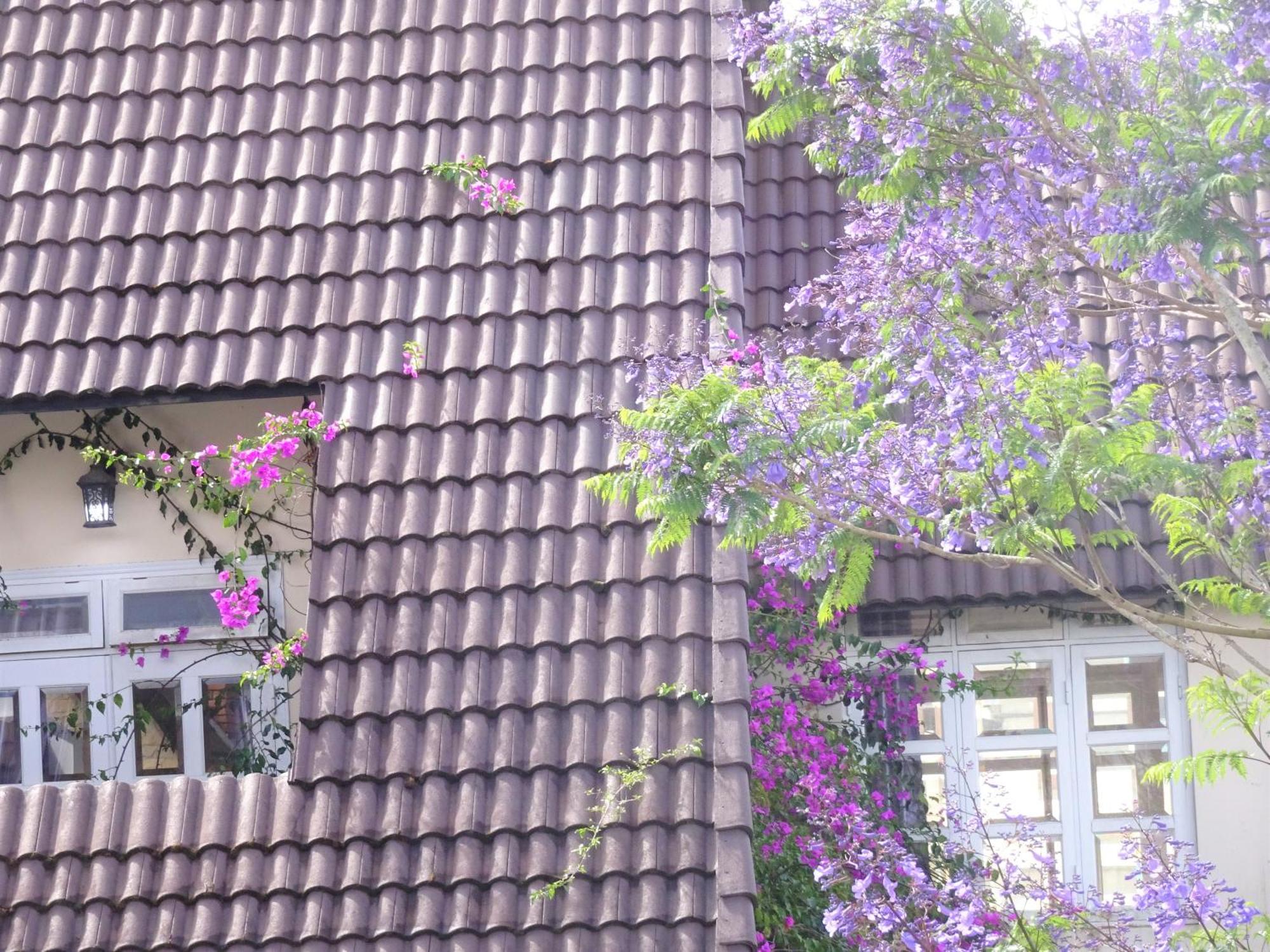 Mento Villa Dalat Exteriör bild