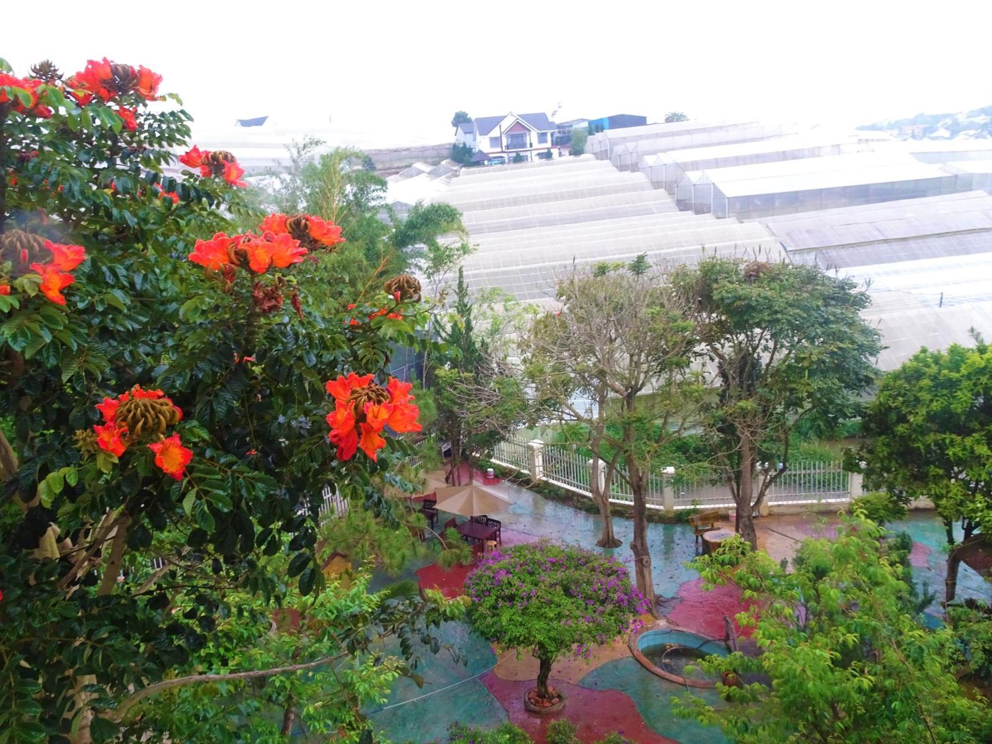 Mento Villa Dalat Exteriör bild